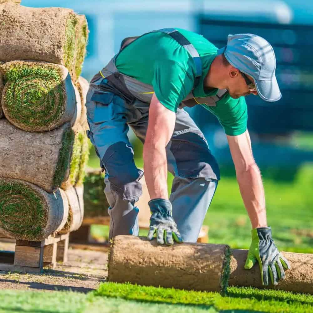 Landscaping Insurance Georgia